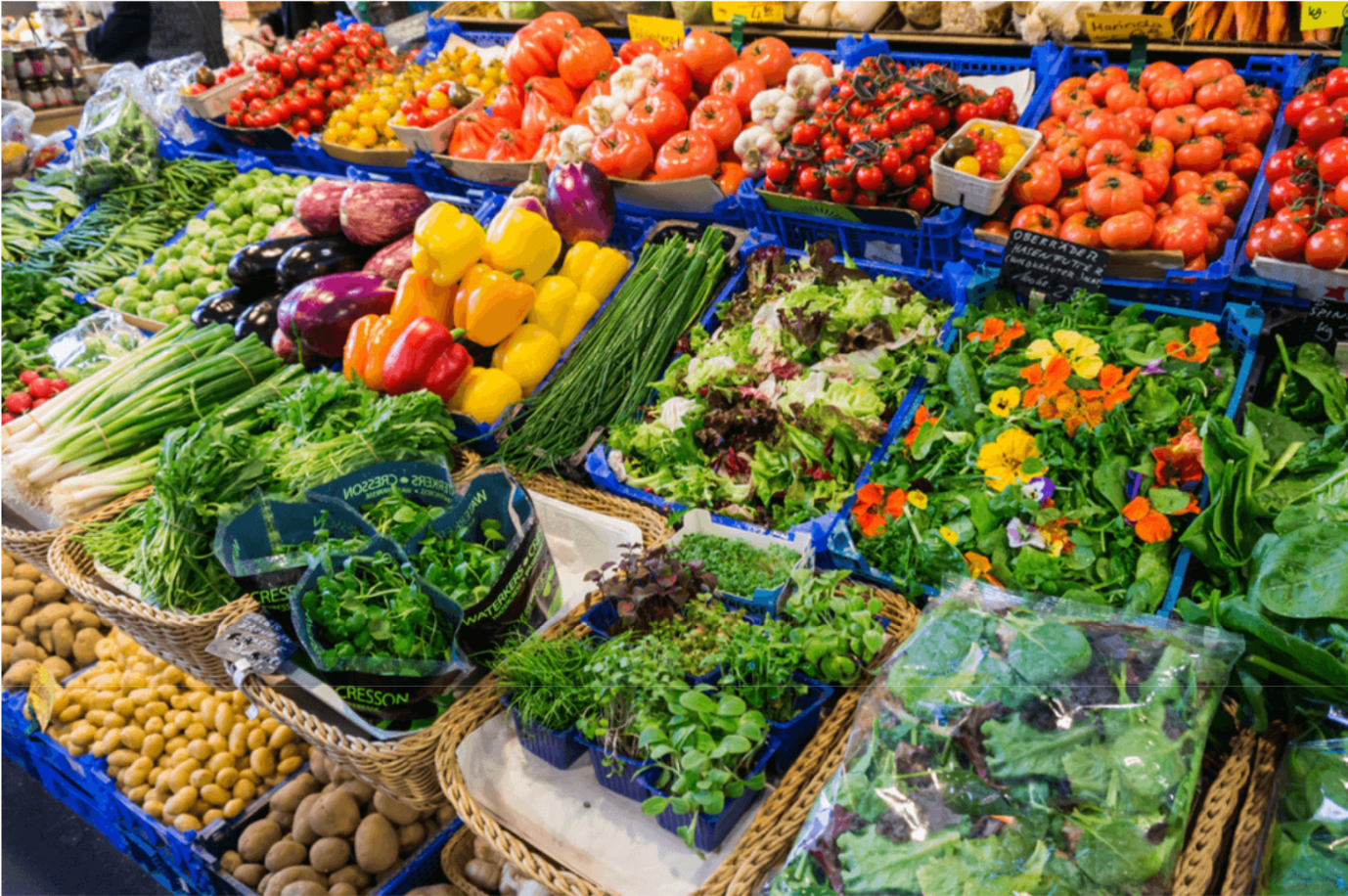 baskets of fresh produce at a Portland farmers market