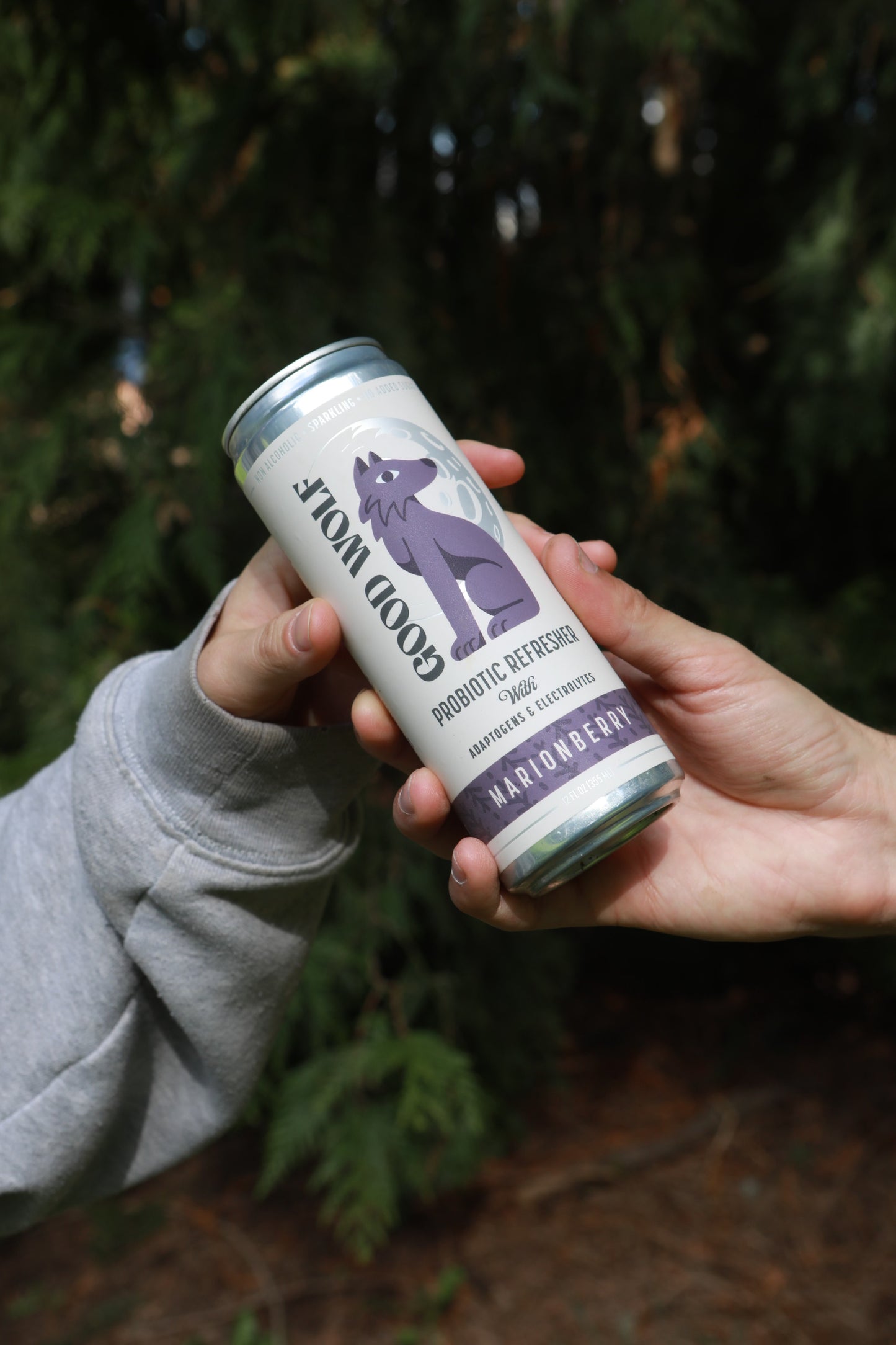 Marionberry Probiotic Refresher - Multipack
