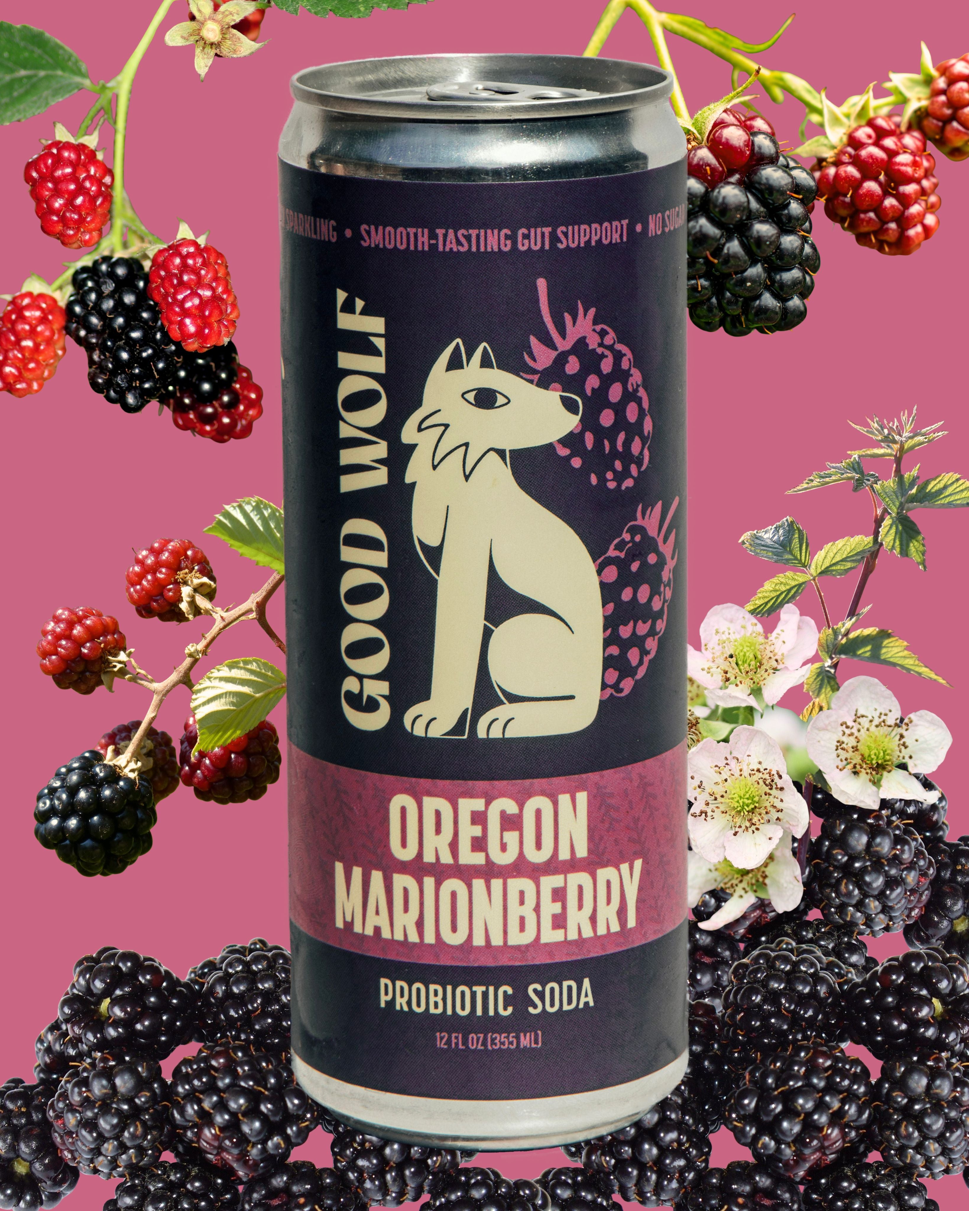 Oregon Marionberry Probiotic Soda