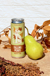 Falling Pears - Rotating Seasonal - Multipack