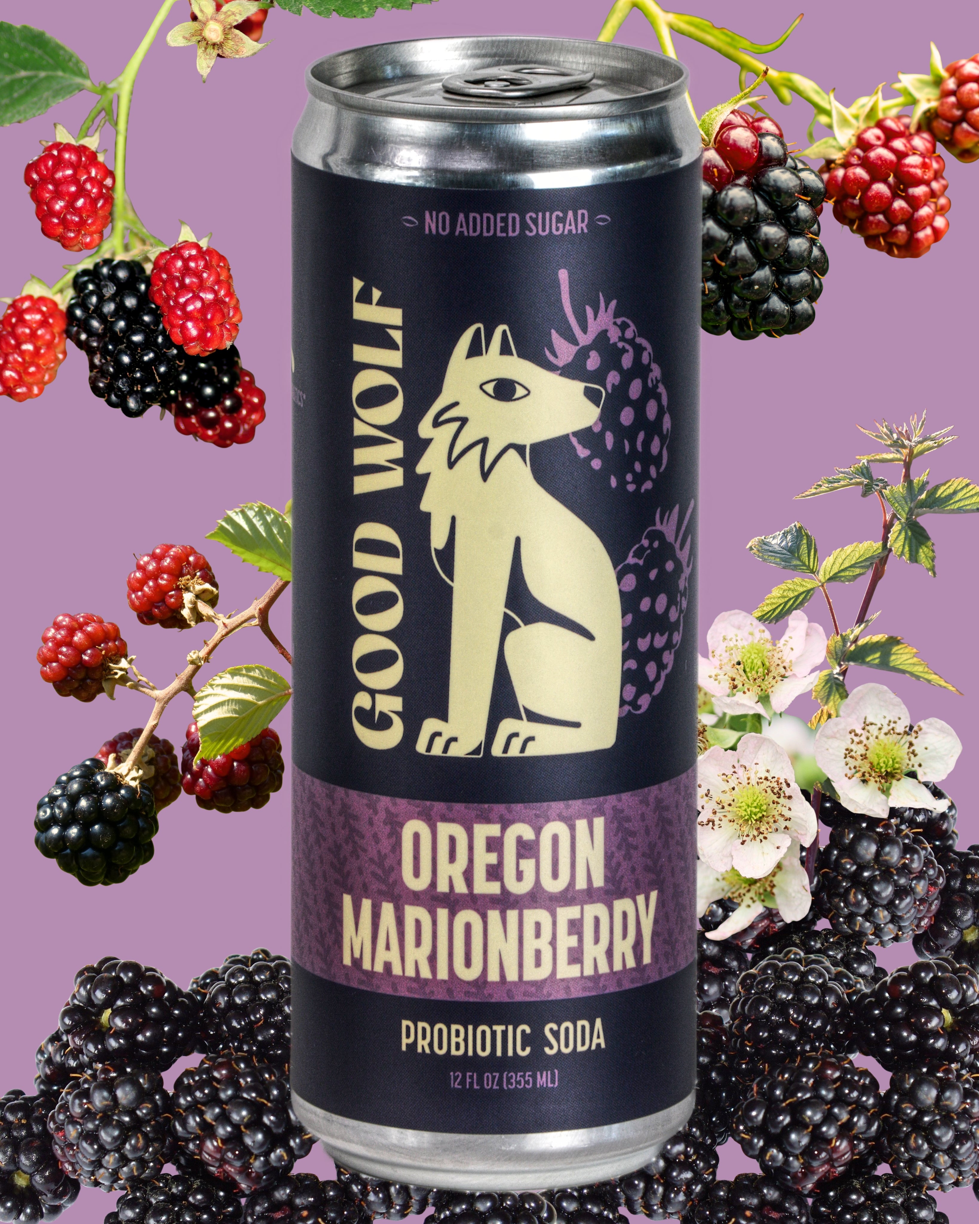 Oregon Marionberry Probiotic Soda