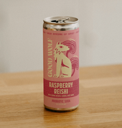 Raspberry Reishi Probiotic Soda - Multipack